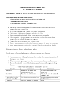 14.1 Nervous Control notes - Mr Cartlidge`s Saigon Science Blog