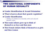 ggender identificaiton and sexual orientation