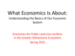 What Economics Is About YNP 2015