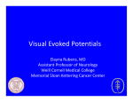 Rubens - Visual Evoked Potentials