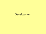 Development - School