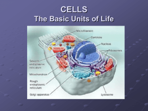 Cells: Basic Units of Life – Ch. 4