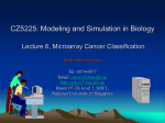 Microarray Cancer Classification - BIDD