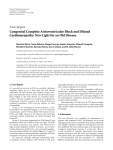 Case Report Congenital Complete Atrioventricular Block