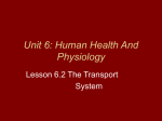 Unit 6: Human Health And Physiology