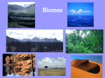 Biomes PPT