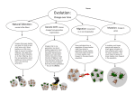 Evolution and genetic drift