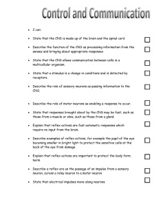 I can: State that the CNS is made up of the brain and the spinal cord