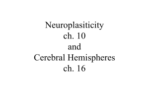 Neuropsychological Disorders, Damage to CNS