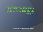 Weathering, erosion, fossils and the rock cycle.