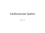 Cardiovascular-System-Part