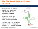 21.6 The Genetic Code and Protein Synthesis