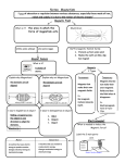 Notes: Magnetism