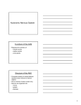 Autonomic Nervous System