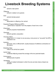 Livestock Breeding System Vocab