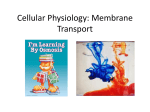 Cellular Physiology: Membrane Transport