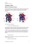 Tetralogy of Fallot