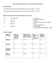 Macromolecules, Membranes, and Transport Practice Test KEY