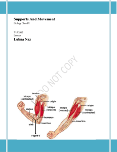 Supports And Movement