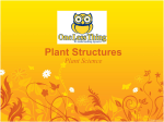 Plant Parts