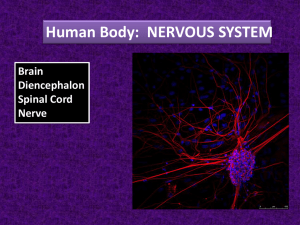 Slide 1 - Teachers TryScience