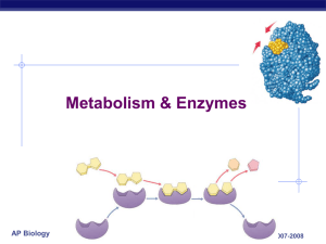 Metabolism