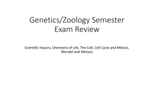 Genetics/Zoology Semester Exam Review