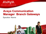 Avaya External Template 31607