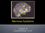 Nervous Systems