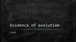 Evidence of evolution