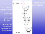 דנטורציה ורנטורציה של DNA