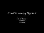 The Circulatory System