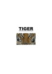 Research_Pack_-_Tiger - Bannerman High School