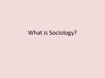 What is Sociology?