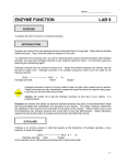 Name: ENZYME FUNCTION LAB 9 PURPOSE To explore the role of