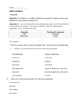 Jello cell rubric