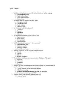 1 - Circle of Docs