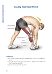 Standing Knee Flexor Stretch