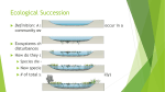 Ecological Succession