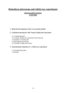 Heisenberg microscope and which-way experiments