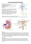 Excretion, Osmoregulation and Homeostasis