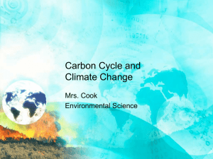 Global warming and the Carbon Cycle