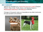 Unit 6: Classification and Diversity