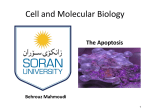 Cell and Molecular Biology