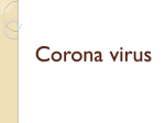 Corona Virus