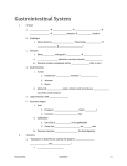 Lecture 13 Handout: Gastrointestinal System