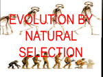 Evolution by Natural Selection