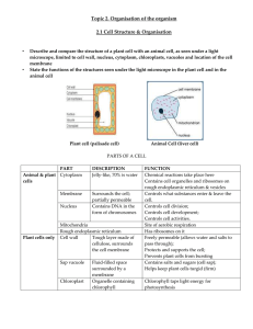 Topic 2 revision notes - Mr Cartlidge`s Saigon Science Blog