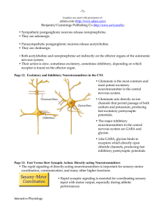 MS Word Version - Interactive Physiology