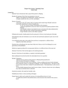 Chapter Four Science: Inheriting Traits Study Guide Lesson Five